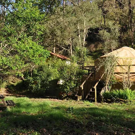 Yurt - Lugar Varzeas Pracerias
