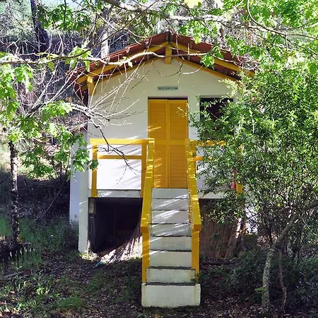 Yurt - Lugar Varzeas * Pracerias