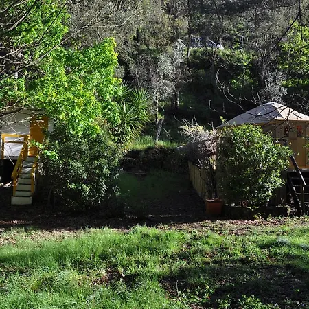 Yurt - Lugar Varzeas