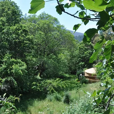 Yurt - Lugar Varzeas Campo de lujo