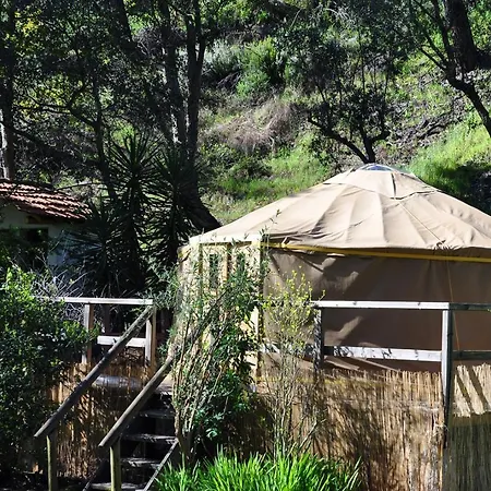 Luxury tent Yurt - Lugar Varzeas Pracerias