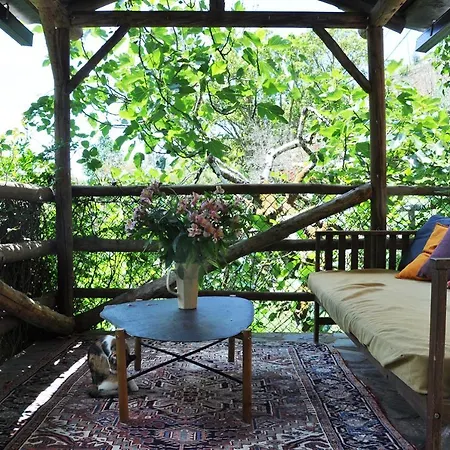 Yurt - Lugar Varzeas Luxury tent Pracerias