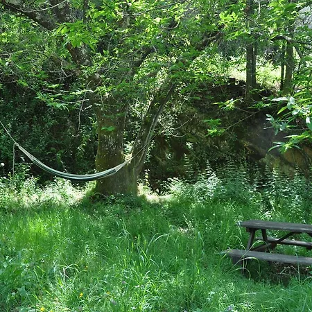 Yurt - Lugar Varzeas