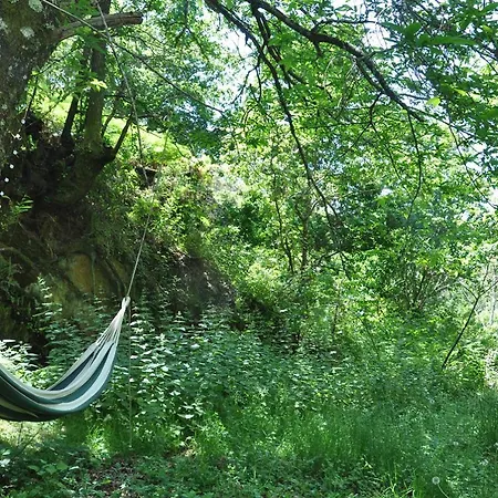 Luxury tent Yurt - Lugar Varzeas *