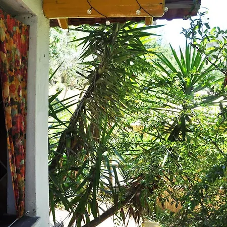 Campo de lujo Yurt - Lugar Varzeas Pracerias